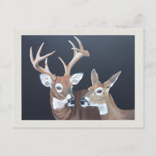 Buck and Doe Whitetail Postkarte