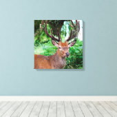 Buck Canvas Print Leinwanddruck (Insitu (Holzboden))