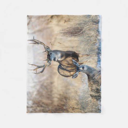 Buck Couple | Mule Deer Fleecedecke (Vorderseite)