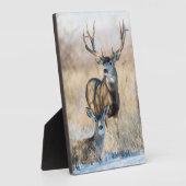 Buck Couple | Mule Deer Fotoplatte (Seite)