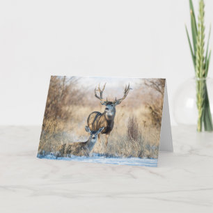 Buck Couple   Mule Deer Karte