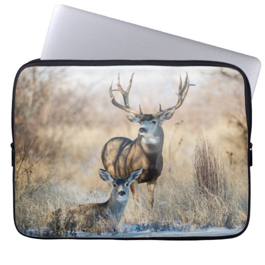Buck Couple | Mule Deer Laptopschutzhülle (Vorderseite)