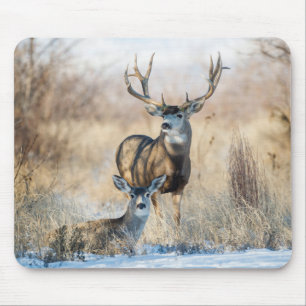 Buck Couple   Mule Deer Mousepad