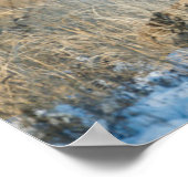 Buck Couple | Mule Deer Poster (Ecke)