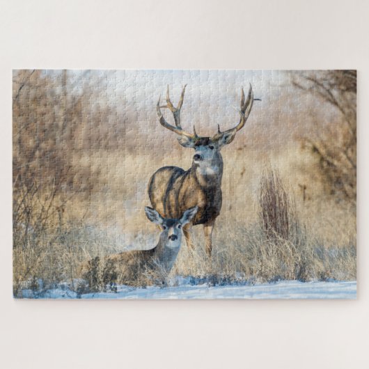 Buck Couple | Mule Deer Puzzle (Horizontal)