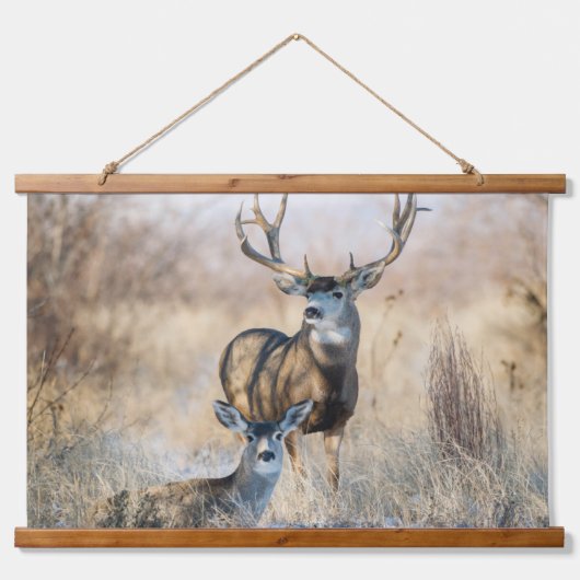 Buck Couple | Mule Deer Wandteppich Mit Holzrahmen (Vorne)