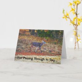 Buck Deer Art Pub Funny Birthday Card Karte