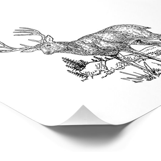 Buck Deer Fotodruck (Ecke)