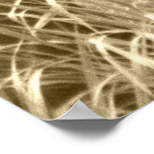 Buck Deer Fotografie Poster (Ecke)