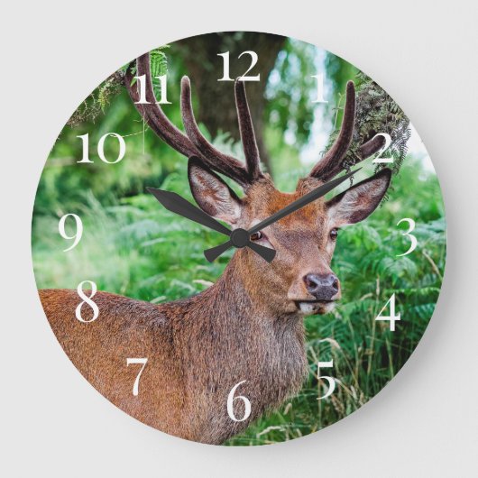 Buck Deer Große Wanduhr (Vorderseite)