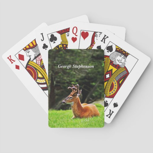 Buck Deer in bewaldeter Weide Persönlich gestalten Spielkarten (Rückseite)