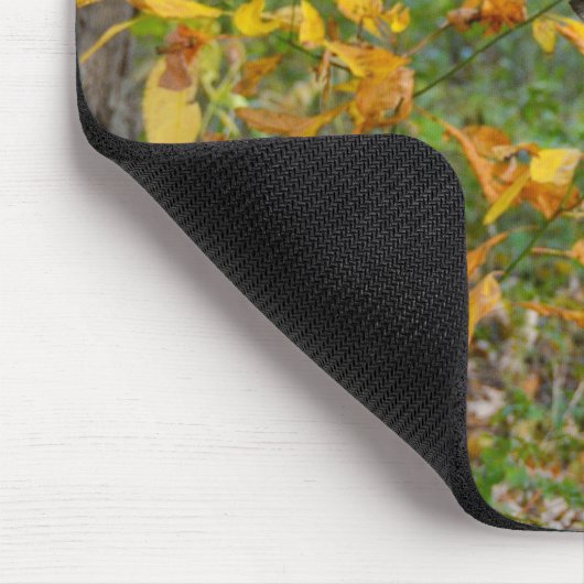 Buck Deer in Woods Mousepad (Ecke)