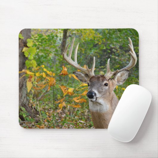 Buck Deer in Woods Mousepad (Mit Mouse)