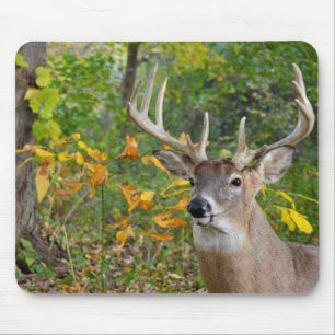Buck Deer in Woods Mousepad