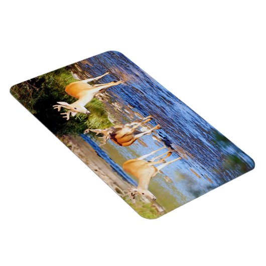 Buck Deer Magnet (Rechte Seite)