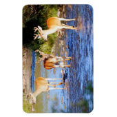 Buck Deer Magnet (Vertikal)