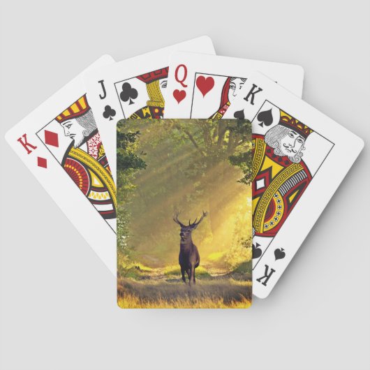 Buck Deer Spielkarten (Rückseite)