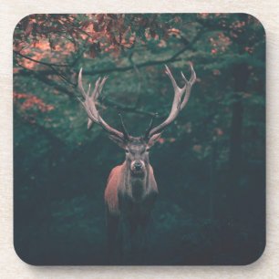 Buck Deer Wild Animal Getränkeuntersetzer