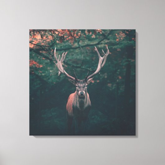 Buck Deer Wild Animal Leinwanddruck (Vorderseite)