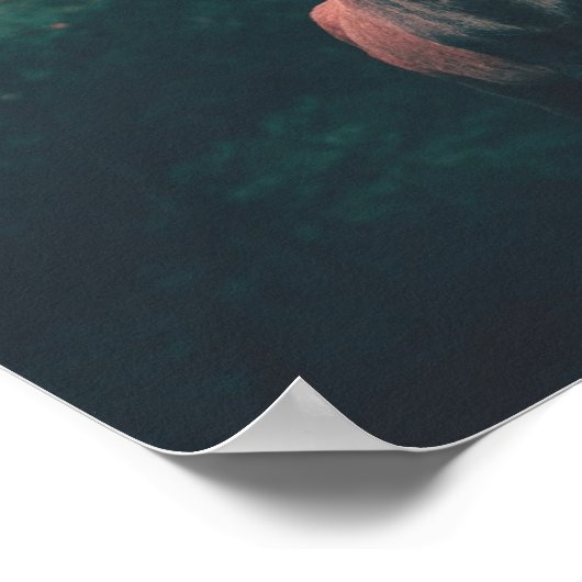 Buck Deer Wild Animal Poster (Ecke)