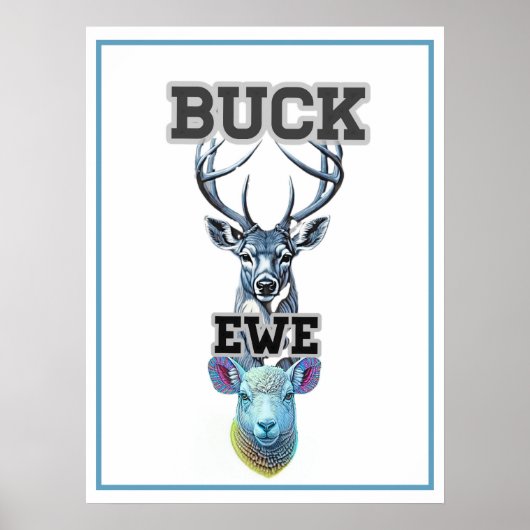 BUCK EWE  POSTER (Vorne)