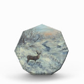 Buck Fluss Fotoblock (Vorderseite)