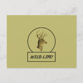 Buck Head Dark Khaki Postcard Postkarte