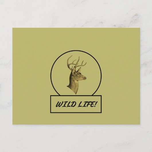 Buck Head Dark Khaki Postcard Postkarte (Vorderseite)