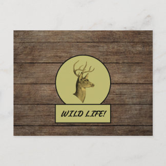 Buck Head Dark Wood Postkarte