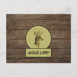 Buck Head Dark Wood Postkarte