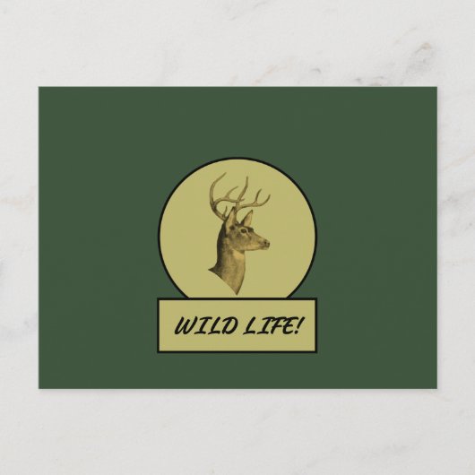 Buck Head Dunkle grüne Postkarte (Vorderseite)