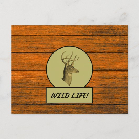 Buck Head Wood Grain Postcard Postkarte (Vorderseite)