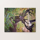 Buck in Richmond Park - 11x14 - 252 Stück Puzzle (Horizontal)