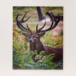Buck in Richmond Park - 16x20 - 520 Stück Puzzle