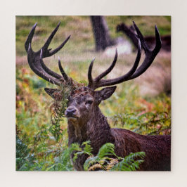 Buck in Richmond Park - 20x20 - 676 Stück Puzzle