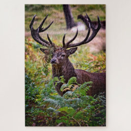 Buck in Richmond Park - 20x30 - 1014 Stück Puzzle