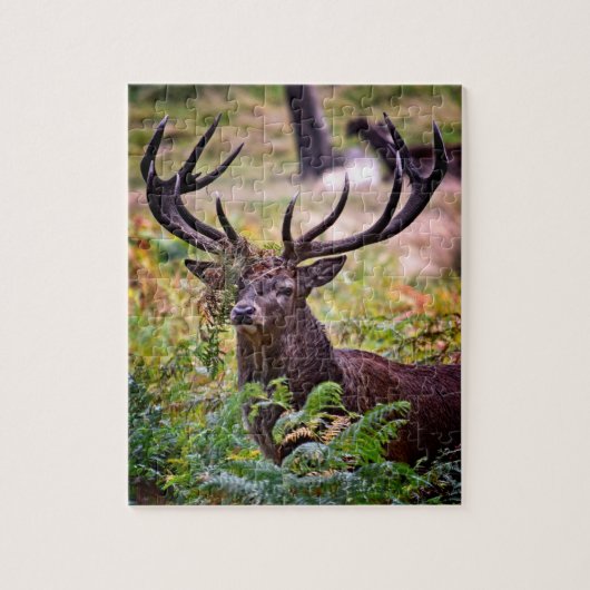 Buck in Richmond Park - 8x10 - 110 Stück Puzzle (Vertikal)