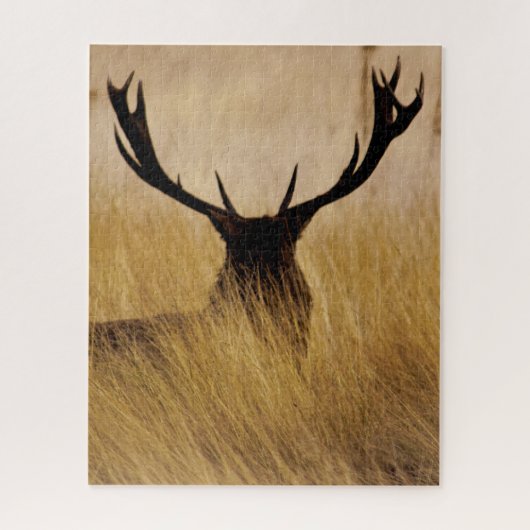 Buck in the Brush - 16x20 - 520 Stück Puzzle (Vertikal)