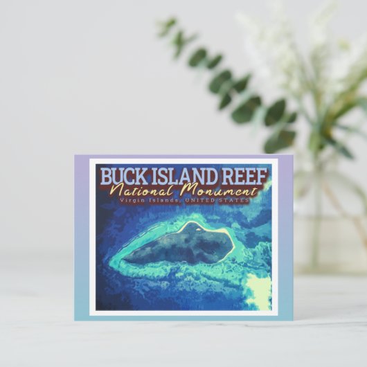BUCK ISLAND REEF - JUNGFRAU INSELN VEREINIGTE STAA POSTKARTE (Stehend Vorderseite)