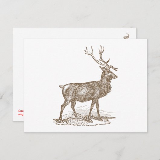 Buck Mule Deer Letterpress Style Postkarte (Vorne/Hinten)