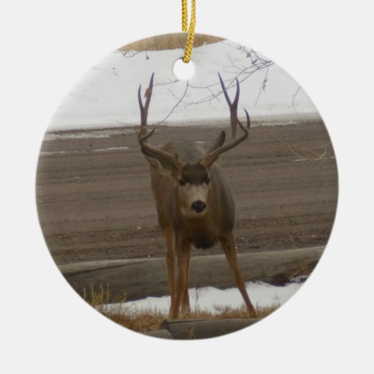 Buck Ornament (Vorne)