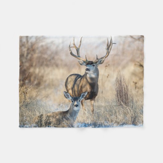 Buck Paar | Maultierhirsch Fleecedecke (Vorderseite (Horizontal))