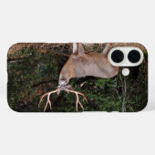 Buck Phone Case (Rückseite (Horizontal))