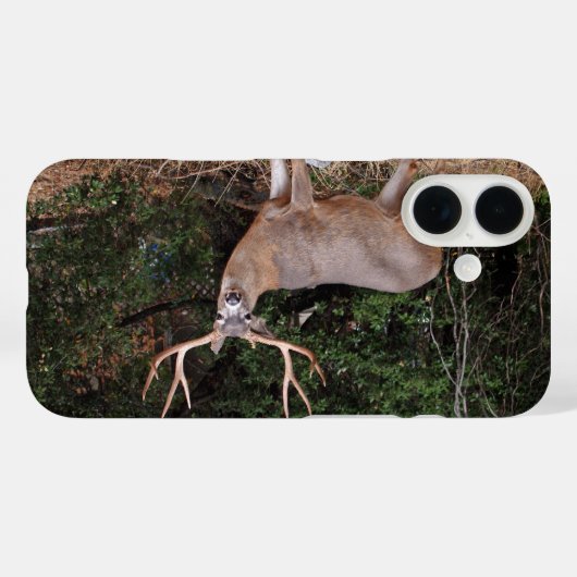 Buck Phone Case (Rückseite (Horizontal))