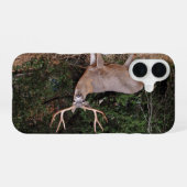 Buck Phone Case iPhone 16 Hülle (Rückseite (Horizontal))