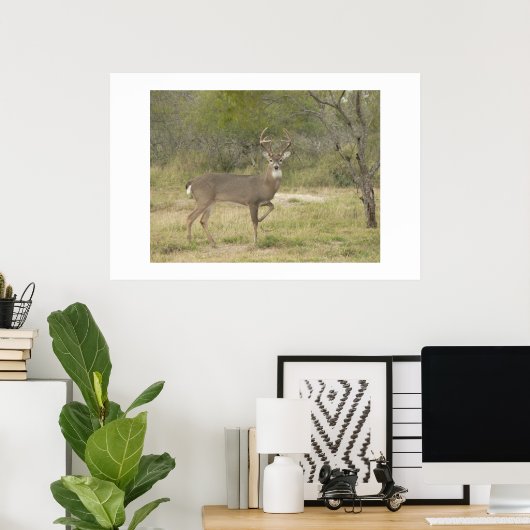 Buck. Poster (Heimbüro)