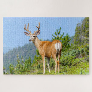 Buck Puzzle