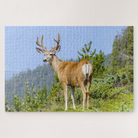 Buck Puzzle (Horizontal)