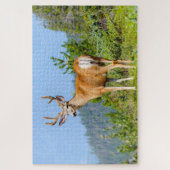 Buck Puzzle (Vertikal)