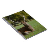 Buck-Reh-Notebook Notizblock (Rechte Seite)